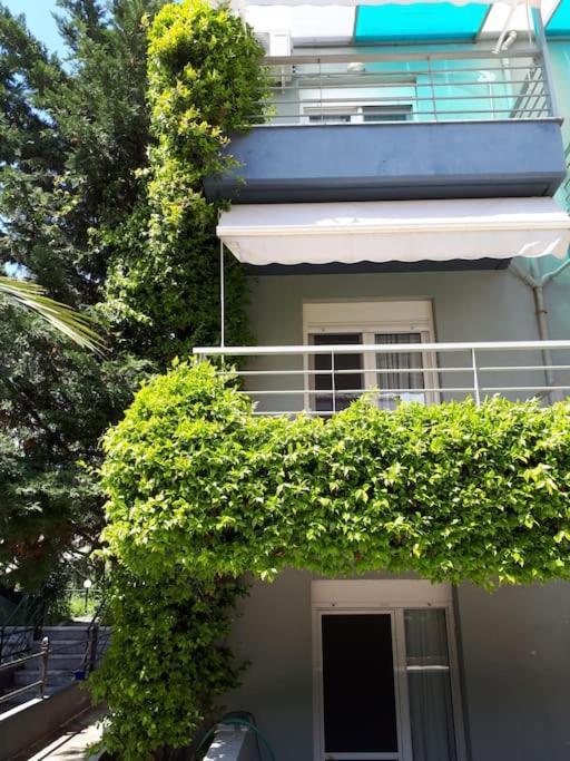 Fanari Summer House 2 Floors Экстерьер фото